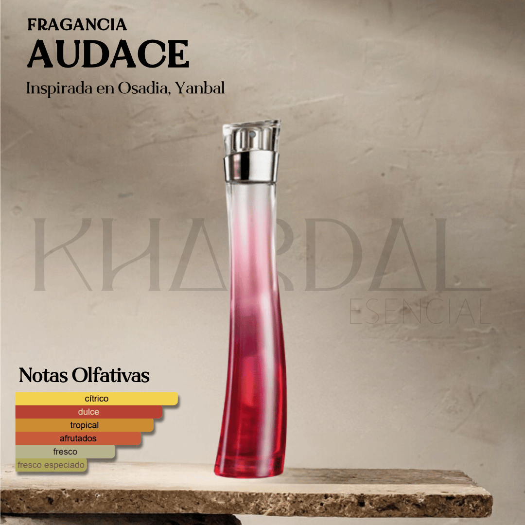 AUDACE